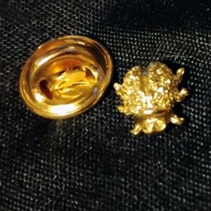 Gold Ladybug Brooch and Button Set
